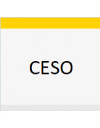 CESO / CESOVENT